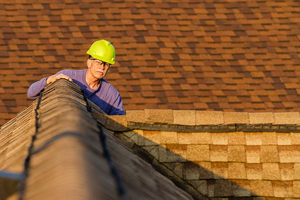 Roof Gutter Cleaning in Franklin, CA