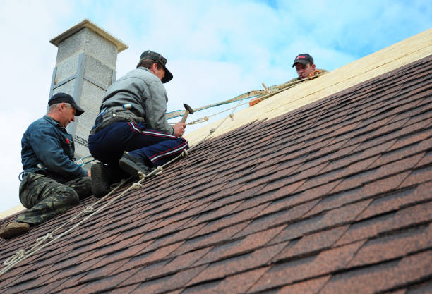 Best Roof Maintenance Services  in Franklin, CA